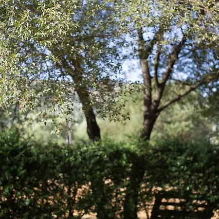 Apartment ιι σε αγροικία με τζακι Kalavryta